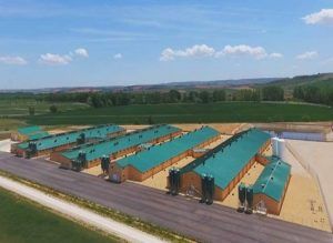 Una decisión histórica