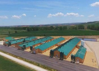 Una decisión histórica