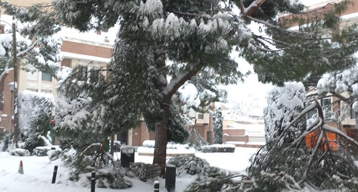 La nieve sigue dejando en Guadalajara estampas históricas…., pero empieza a ser peligroso