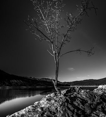 Carlos González Puebla, mejor colección fotográfica, y Guillermo Galiana, mejor Documental con Dron, vencedores de los Concursos de la MAS 2020
