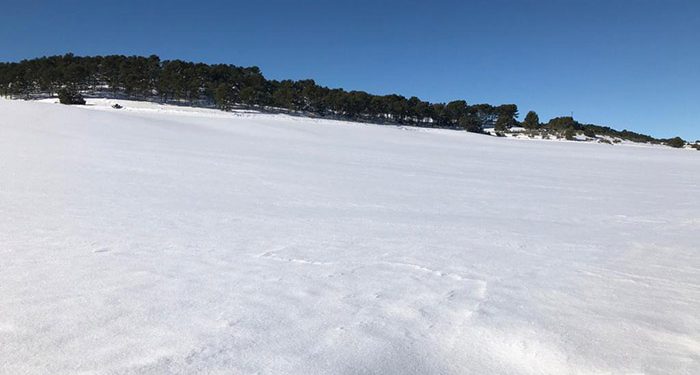 Prieto pide rapidez tanto en la evaluación de daños como en las ayudas e inversiones por los efectos de la nieve en la provincia de Cuenca 1 Filomena