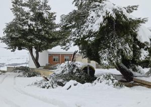 El Ayuntamiento de Tarancón cierra los parques y el cementerio municipal para evitar posibles incidentes con el temporal