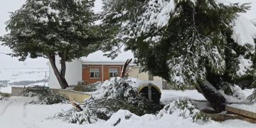 El Ayuntamiento de Tarancón cierra los parques y el cementerio municipal para evitar posibles incidentes con el temporal