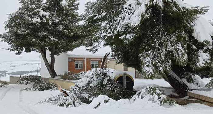 El Ayuntamiento de Tarancón cierra los parques y el cementerio municipal para evitar posibles incidentes con el temporal