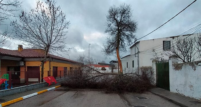 El viento del nuevo temporal azota Cuenca