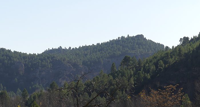 HC y la Agrupación de Hostelería de Cuenca indican que las limitaciones de movilidad han castigado duramente al turismo rural 1 HC y la Agrupación de Hostelería de Cuenca indican que las limitaciones de movilidad han castigado duramente al turismo rural