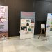 La exposición Arte Rural Infantil, 'Futuros Rurales', ahora, en Guadalajara