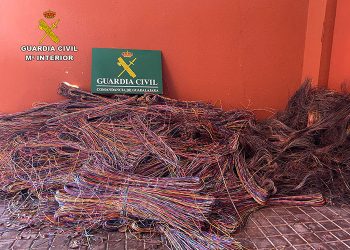 La Guardia Civil detiene en Luzaga a cuatro personas por robo de cable del tendido telefónico