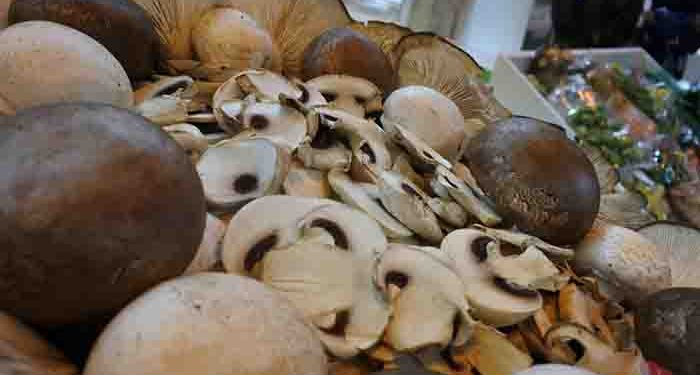 La Junta destina 4,7 millones de euros para impulsar las Organizaciones de Productores del sector de frutas y hortalizas 1 La Junta destina 4,7 millones de euros para impulsar las Organizaciones de Productores del sector de frutas y hortalizas