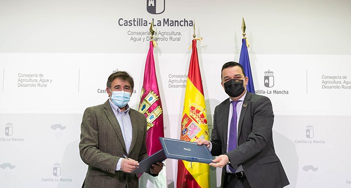 La raza ovina alcarreña tendrá mejoras genéticas de cara hacer rentables las explotaciones 1 La raza ovina alcarreña tendrá mejoras genéticas de cara hacer rentables las explotaciones