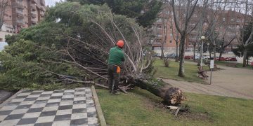 Los servicios municipales atienden más de una veintena de incidencias por el fuerte viento en Cuenca