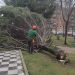 Los servicios municipales atienden más de una veintena de incidencias por el fuerte viento en Cuenca