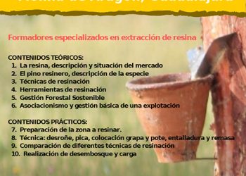 Molina de Aragón acogerá del 1 al 5 de febrero un curso de resineros financiado por la Diputación de Guadalajara