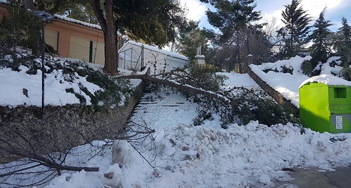 Huete declarado “zona catastrófica”: ¿cómo solicitar las ayudas? 1 Nieve en Huete