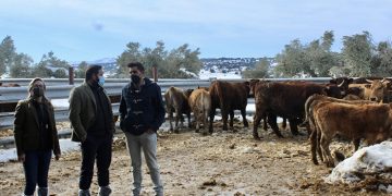 Núñez muestra su apoyo a los ganaderos de Castilla-La Mancha tras los problemas que les ha causado el temporal de nieve