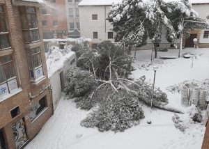 Riesgo extremo en las calles de Guadalajara por caídas de árboles y desprendimientos de nieve en fachadas y cornisas