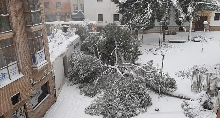 Riesgo extremo en las calles de Guadalajara por caídas de árboles y desprendimientos de nieve en fachadas y cornisas