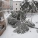 Riesgo extremo en las calles de Guadalajara por caídas de árboles y desprendimientos de nieve en fachadas y cornisas