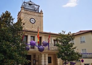 El Ayuntamiento de Brihuega pondrá en marcha un programa de recualificación y reciclaje profesional sobre jardines verticales