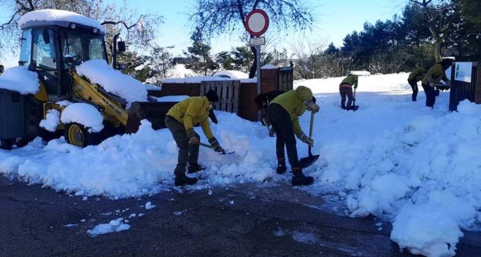 Tarancón pone en marcha la iniciativa #YoQuitoNieve y pide la colaboración de la ciudadanía 1 Tarancón pone en marcha la iniciativa #YoQuitoNieve y pide la colaboración de la ciudadanía 2