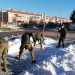 Villanueva de la Torre recibe a una veintena de militares para ayudar en la retirada de hielo y nieve