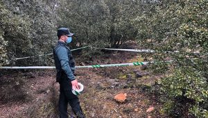 Desactivada una granada de mortero de la Guerra Civil en Sotodosos