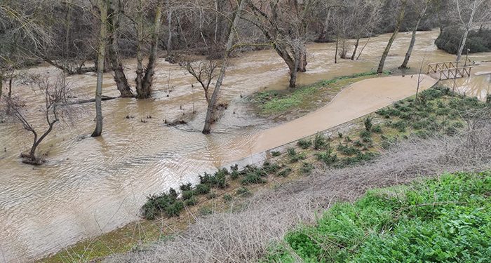 Ecologistas en Acción de Guadalajara y el Grupo Local de WWF recuerdan que advirtieron del riesgo de inundación por las obras en el Henares