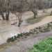 Ecologistas en Acción de Guadalajara y el Grupo Local de WWF recuerdan que advirtieron del riesgo de inundación por las obras en el Henares