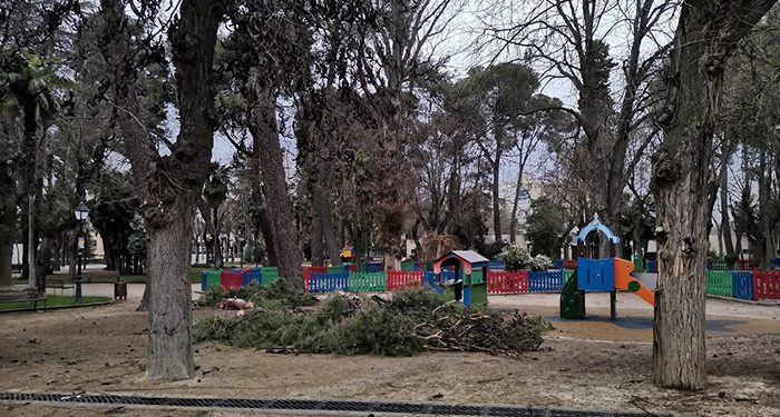 El Ayuntamiento de Guadalajara destina 146.000 euros a la poda, retirada y tratamiento de residuos vegetales generados por el temporal Filomena