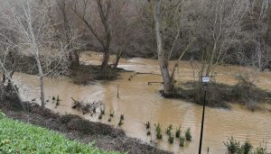 El Ayuntamiento de Guadalajara insiste a la ciudadanía en que evite acercarse al parque fluvial del Henares ante la crecida del río y la previsión de lluvias