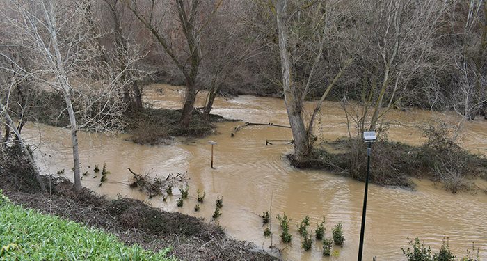 El Ayuntamiento de Guadalajara insiste a la ciudadanía en que evite acercarse al parque fluvial del Henares ante la crecida del río y la previsión de lluvias