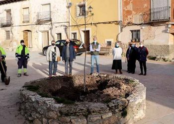 El Ayuntamiento de Pareja planta un nuevo olmo, resistente a la grafiosis, en Cereceda