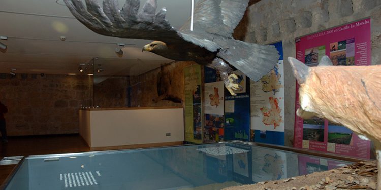 El CITUG reabrirá sus puertas este viernes 12 de febrero