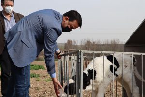 El sector agroalimentario de Castilla-La Mancha supone un 37% del total de la facturación en la exportación de la región en 2020, subiendo un 3% respecto a 2019