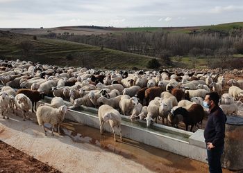 El sector primario empieza a usar las nuevas infraestructuras agrarias subvencionadas por la Diputación de Guadalajara 6 El sector primario empieza a usar las nuevas infraestructuras agrarias subvencionadas por la Diputación de Guadalajara