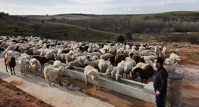 El sector primario empieza a usar las nuevas infraestructuras agrarias subvencionadas por la Diputación de Guadalajara 1 El sector primario empieza a usar las nuevas infraestructuras agrarias subvencionadas por la Diputación de Guadalajara
