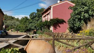 La Asociación de Turismo Sierra Norte de Guadalajara lanza un SOS y reclama ayudas directas a las diferentes administraciones