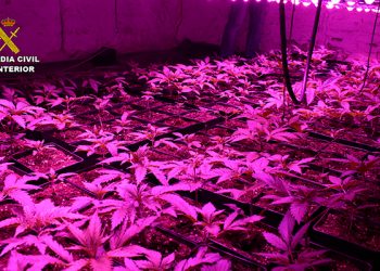 La Guardia Civil investiga a dos personas por cultivar marihuana en Valera de Abajo y Villaverde y Pasaconsol
