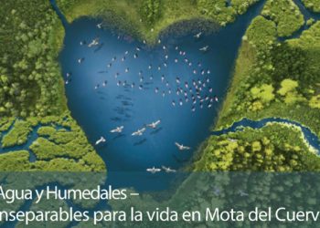 La Plataforma Vecinal Pueblo Sostenible de Mota del Cuervo celebra con un coloquio online el Día de los Humedales