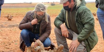 Merino denuncia que “los conejos se están comiendo la renta de los agricultores” ante la falta de medidas de Page