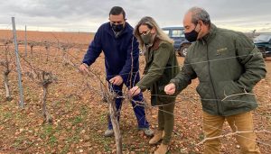 Merino sigue conociendo de la mano de agricultores y cazadores las medidas a la grave situación que atraviesa el campo por los daños provocados por la plaga de conejos