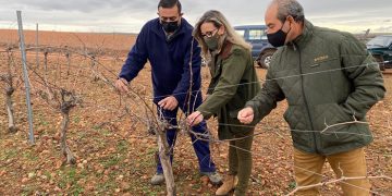 Merino sigue conociendo de la mano de agricultores y cazadores las medidas a la grave situación que atraviesa el campo por los daños provocados por la plaga de conejos
