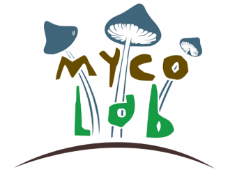 Mycolab surge de UFIL para formar a personas sobre el autocultivo de hongos comestibles y medicinales