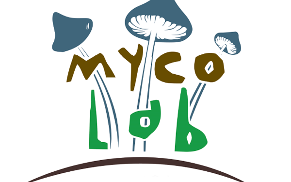 Mycolab surge de UFIL para formar a personas sobre el autocultivo de hongos comestibles y medicinales