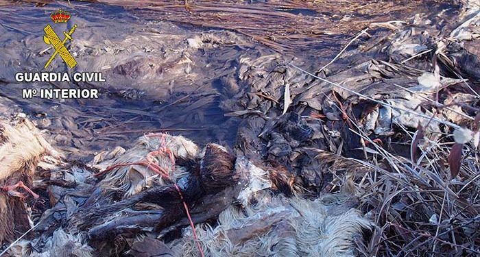 El Seprona intensifica sus actuaciones en la vigilancia de vertidos ilegales en Guadalajara