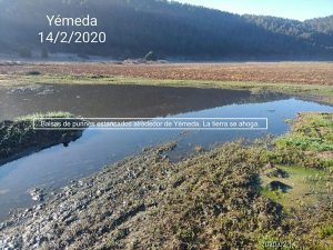 Pueblos Vivos Cuenca espera una respuesta de la Diputación de Cuenca para que apoye a los municipios contra la ganadería industrial