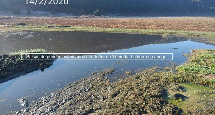 Pueblos Vivos Cuenca espera una respuesta de la Diputación de Cuenca para que apoye a los municipios contra la ganadería industrial