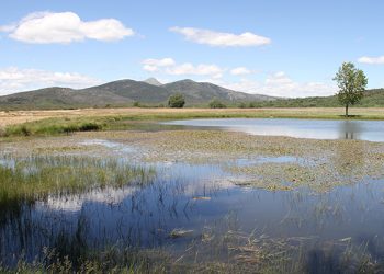 Un total de 71 proyectos optan a conseguir ayuda, dentro de la convocatoria de ADEL destinada a entidades públicas