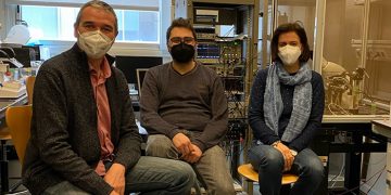 Un estudio de la UCLM aglutina los últimos hallazgos sobre el funcionamiento del canal GirK para el control de la actividad neuronal