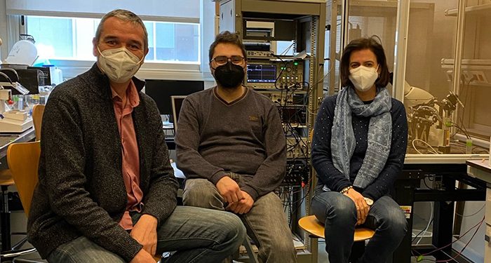 Un estudio de la UCLM aglutina los últimos hallazgos sobre el funcionamiento del canal GirK para el control de la actividad neuronal